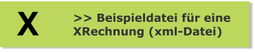 >> Beispieldatei für eine  XRechnung (xml-Datei) X